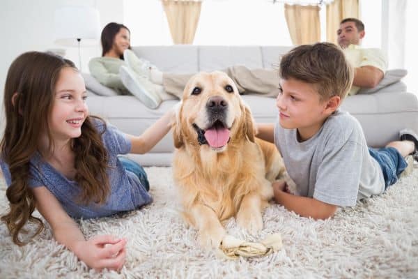 Hobaica Pets Indoor Air Quality